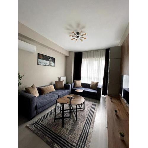 Stylish 1-bedroom apartment near Mall of Istanbul - 24 Express residence