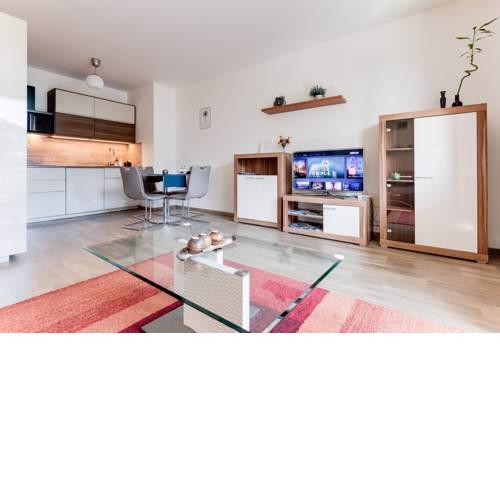 Stylish Apartment in Waltrovka