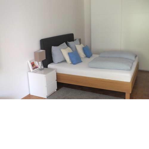Stylish Apartment with Balcony Nuremberg Center