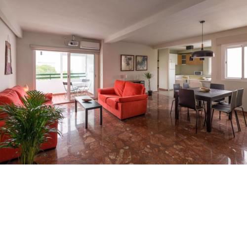 Suite Alero