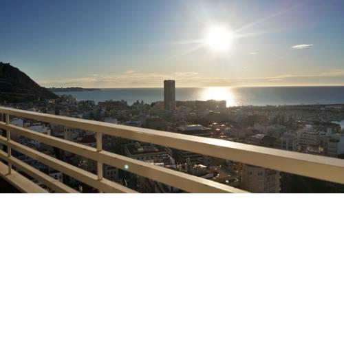 Suite Alicante