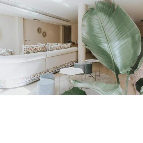 Suite palmerasluxury loft