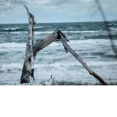 Suite Strandluft