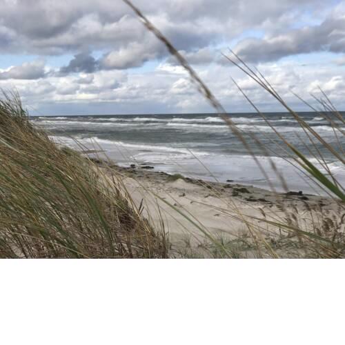 Suite Windkieker