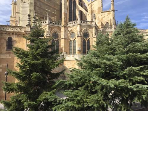 Suites Catedral de Leon