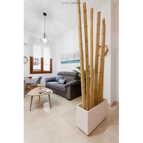 Suites Lumbreras