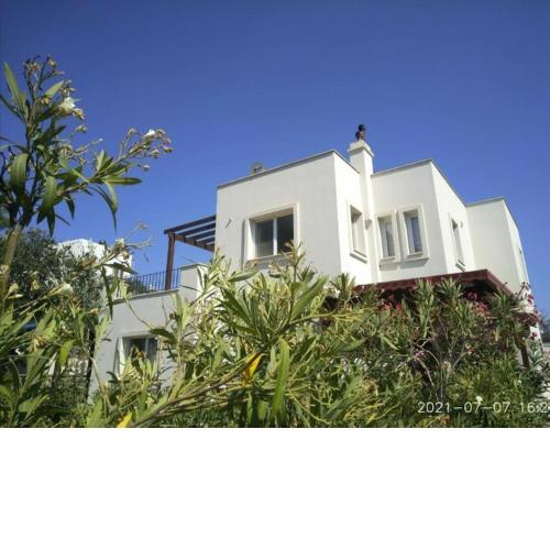 summer house ( Gümüşlük) 80 m2