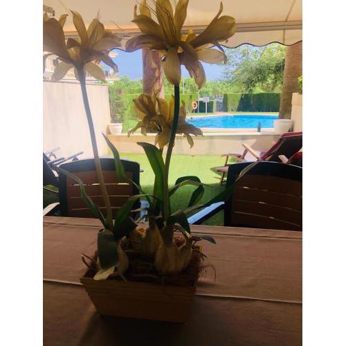 SunAndBed Royal Cambrils