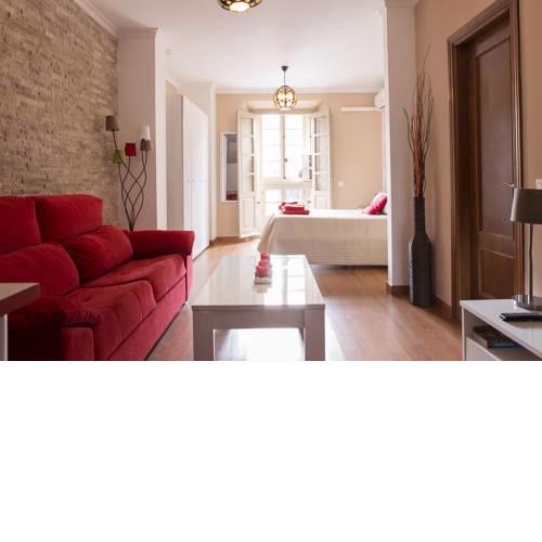 Suncity loft Carreteria