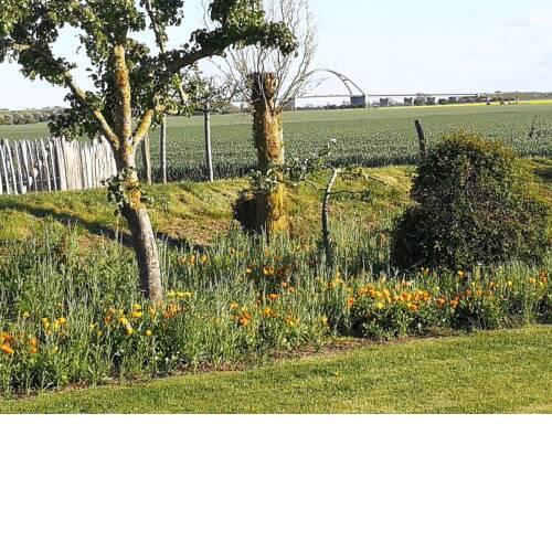 Sundblick, ideal für Familien - a24334
