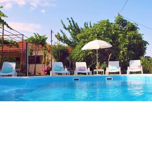 Sunflower house with a pool
