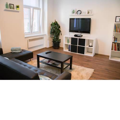 Sunny Aircon Apartment in the Centre of Slaný