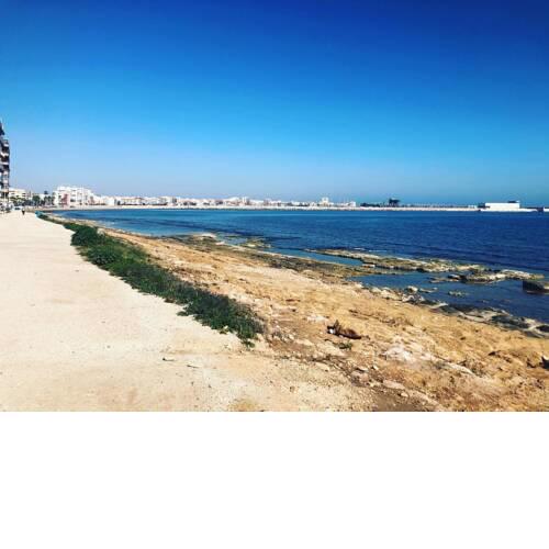Sunny Costa Blanca