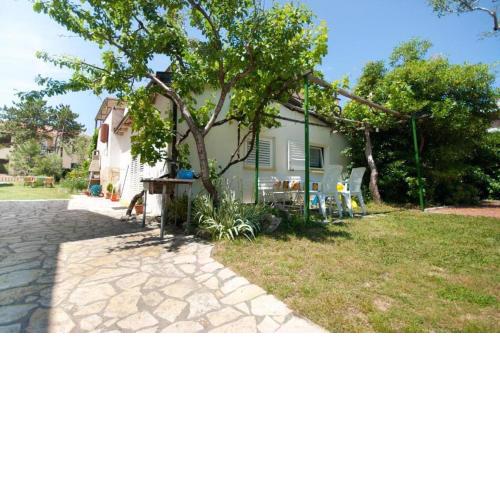 Sunny grandma's garden apartment