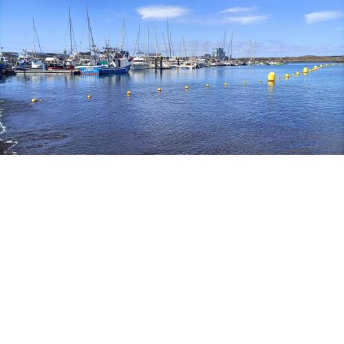 Sunny Harbour