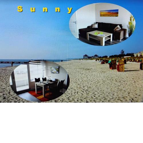 Sunny