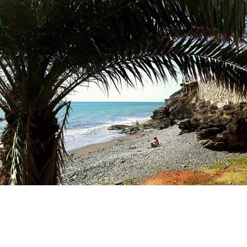 SUNSEA