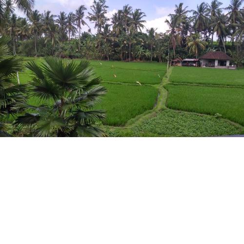 Sunset Pandawa Villa