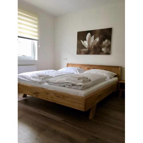 Sunshine Apartment Frymburk