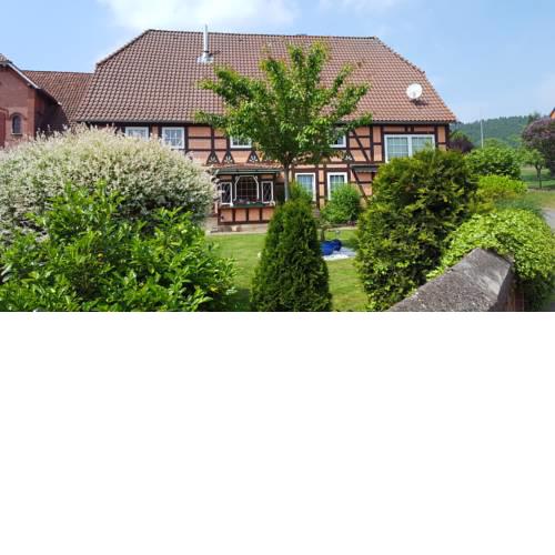 Süntelhof