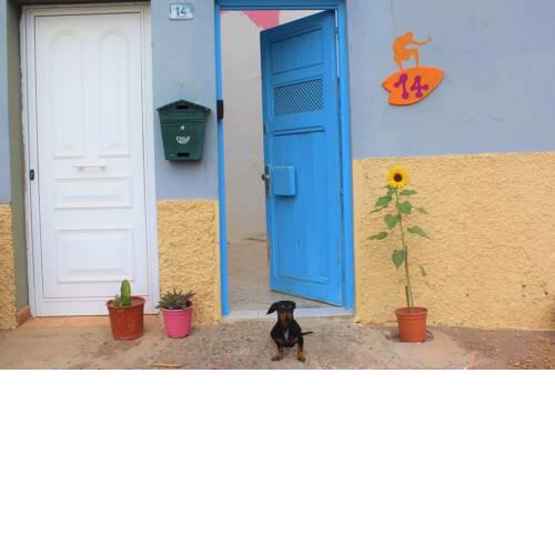 Surf House La Machacona (Backdoor)
