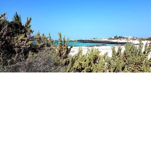Surfhouse in El Cotillo - direkt am Meer