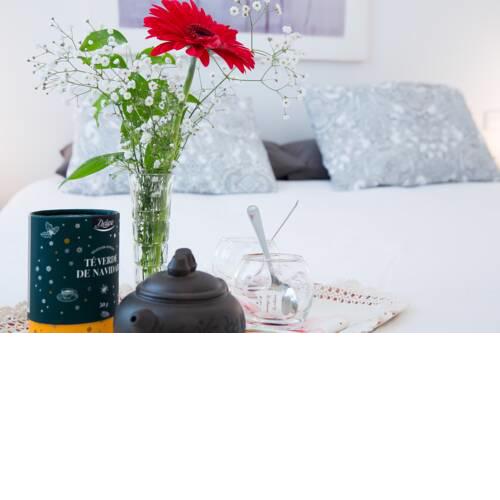 Surthy Naranjas Flat