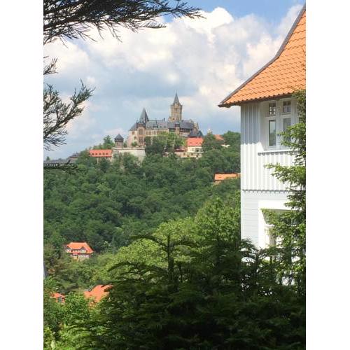 Sweet Harz Apartments