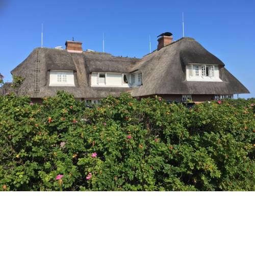 Sylt - Traum  Kampen