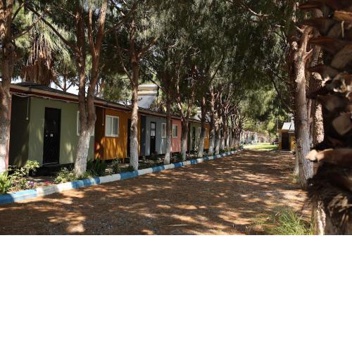 Tamam.Camp