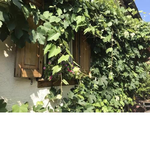 Tante Berg B&B