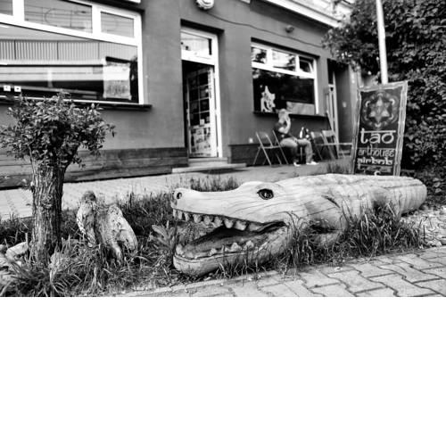 Tao Art House Bohemian Switzerland National Park