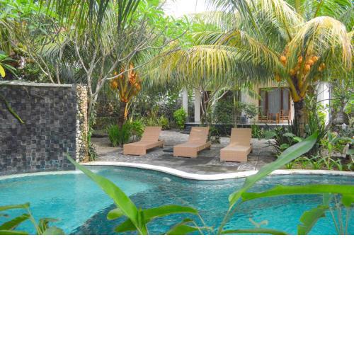 Tarzan Marriott On Penida