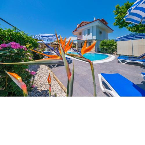 Tatil Premium Villa Baron