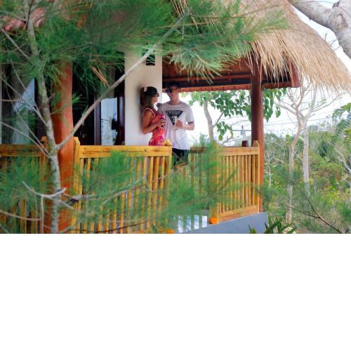 Temeling Jungle Inn