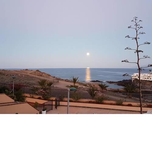Tenerife lizards - duplex in the first line