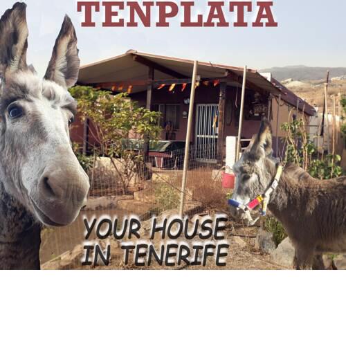 Tenplata