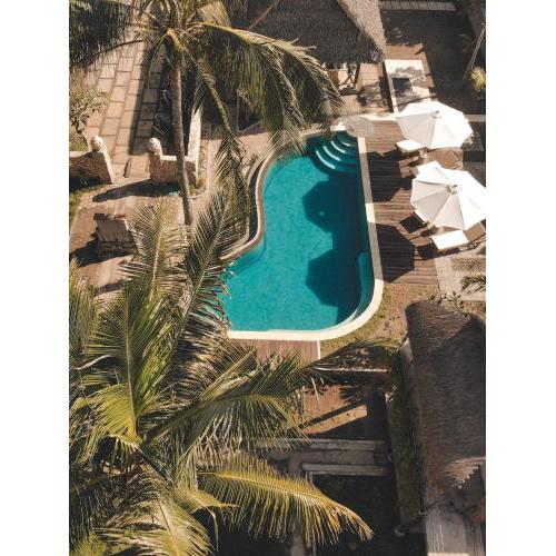 Tentacle Bali