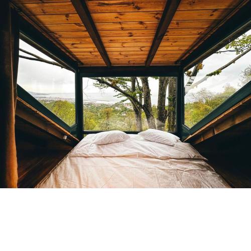 Tepede Bir Işık Var! HillCabin