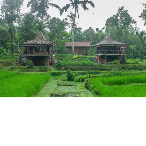 Tepi Sawah Lodge & Retreat