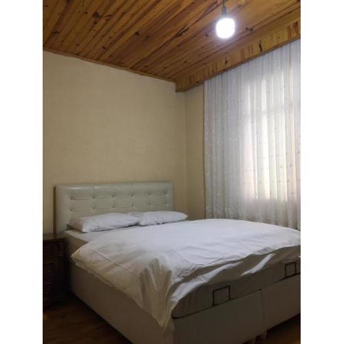 TERAS DAİRE