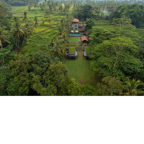 Teras Divya Tropical Retreat