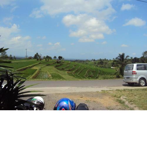 Teras Subak Jatiluwih