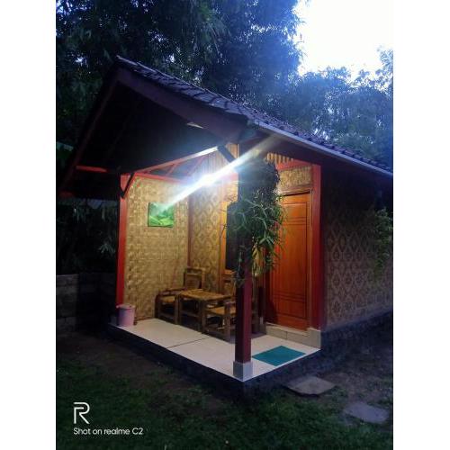 Tereng Wilis Jungle Inn