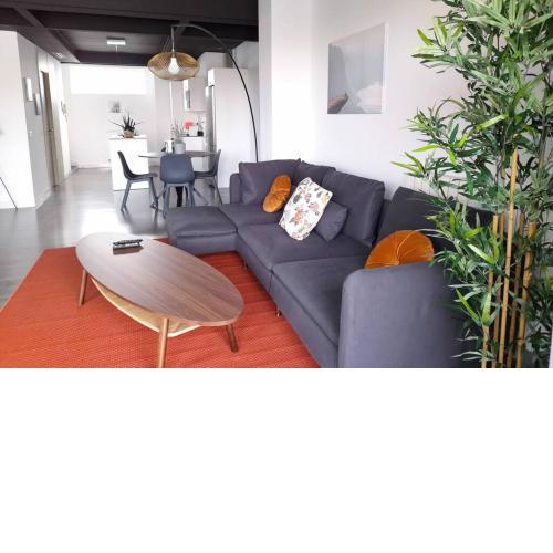 Terrace loft with indoor swimming pool & SPA