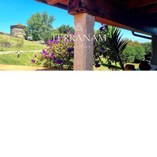 Terranam Wellness