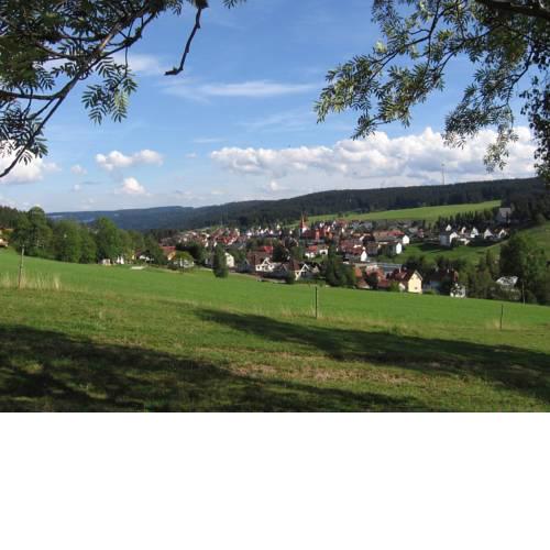 Terrassenpark Schonach, App. 161