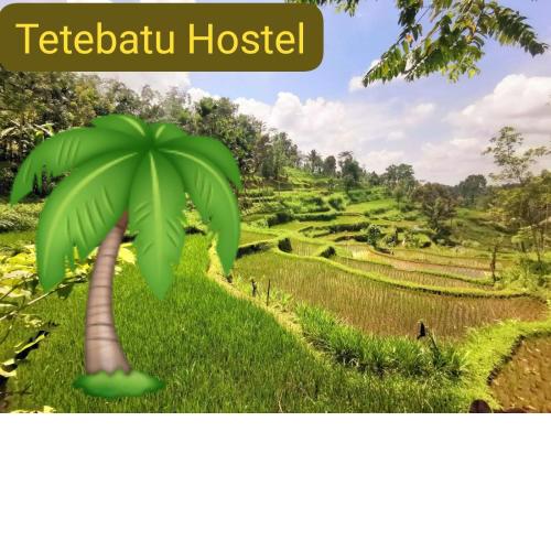 Tetebatu Hostel