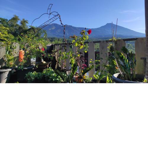 Tetebatu Terrace Homestay
