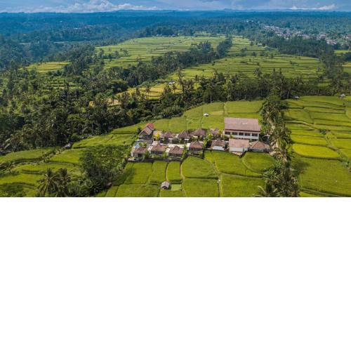 Thantha Serenity Resort